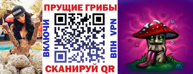 MEGA маркетплейс  Дигора  Псилоцибиновые грибы GOLDEN TEACHER 