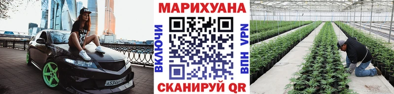 Канабис сатива Дигора